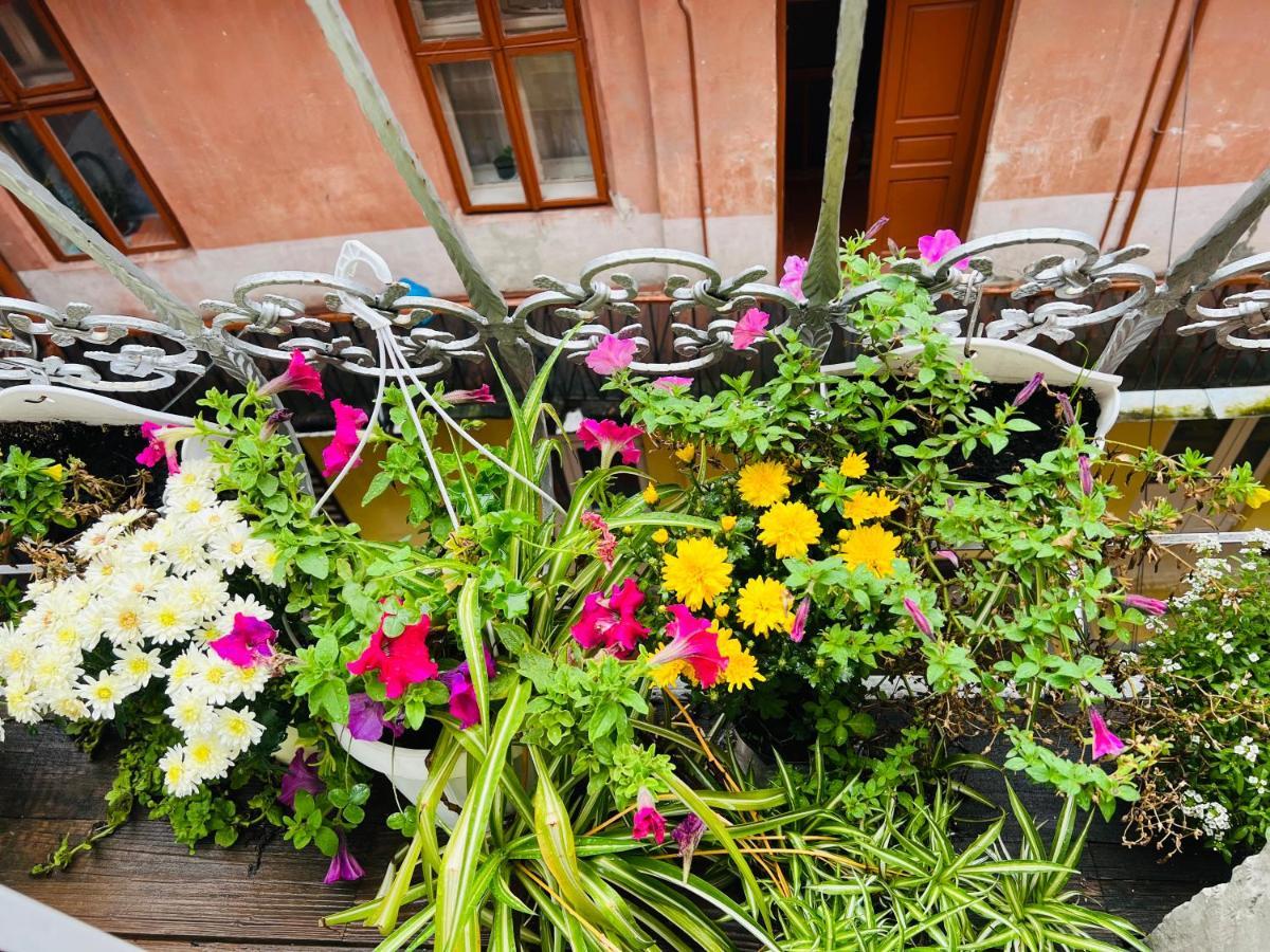 Apartment In The City Center Mini Iwano-Frankiwsk Zewnętrze zdjęcie