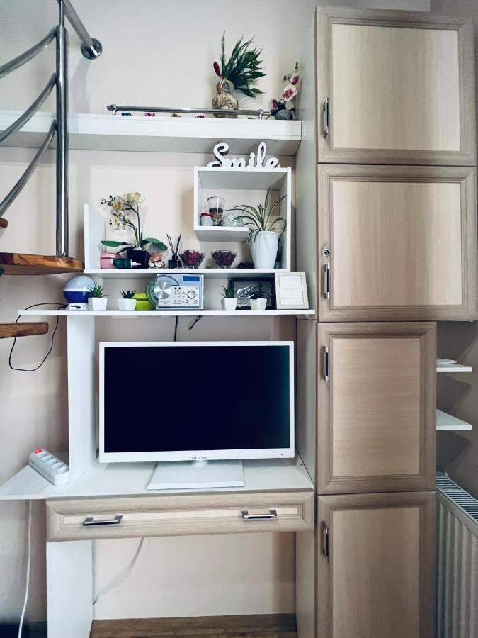 Apartment In The City Center Mini Iwano-Frankiwsk Zewnętrze zdjęcie