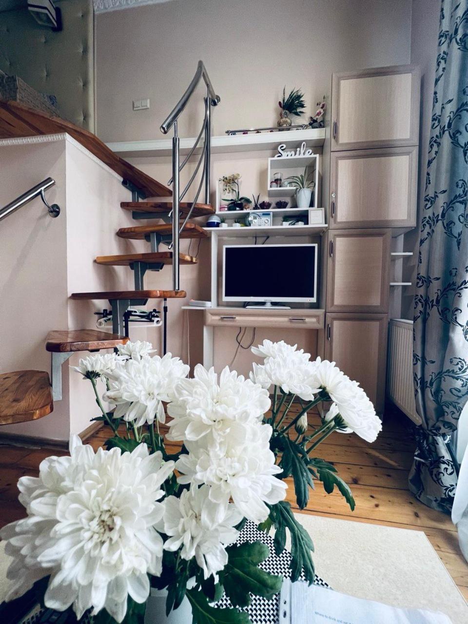 Apartment In The City Center Mini Iwano-Frankiwsk Zewnętrze zdjęcie